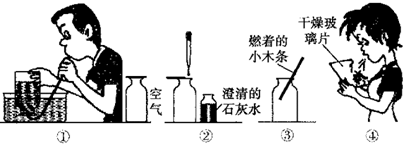 从“水是生命之源”看净化与供应 纯净水与自来水的科学解读